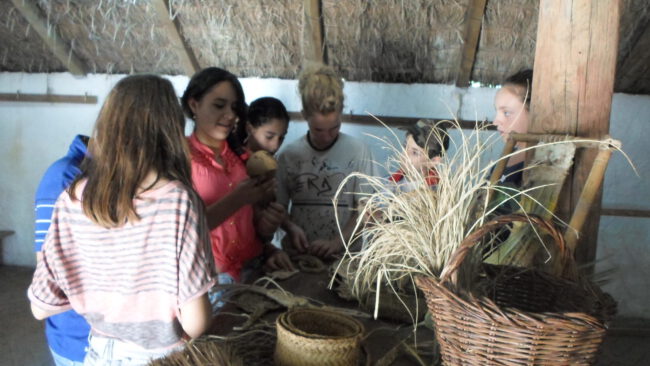 Cestería Fenicia de protohistoria de secundaria