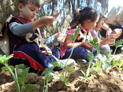 agricultura de prehistoria de infantil agricultura de prehistoria de infantil
