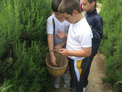 captación de recursos de prehistoria_de_primaria captación de recursos de prehistoria_de_primaria