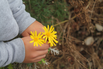 uso de botánica de prehistoria de infantil