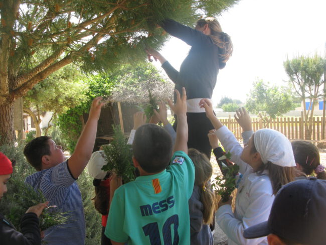 Captación de recursos de prehistoria de secundaria