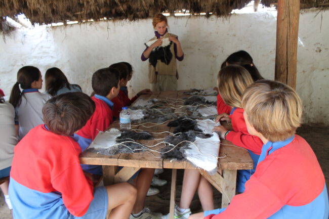 Curtido de pieles de prehistoria de secundaria