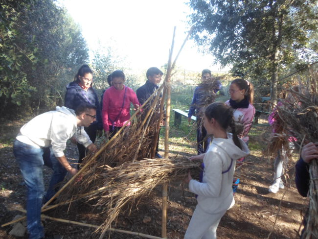 Hábitat de prehistoria de secundaria