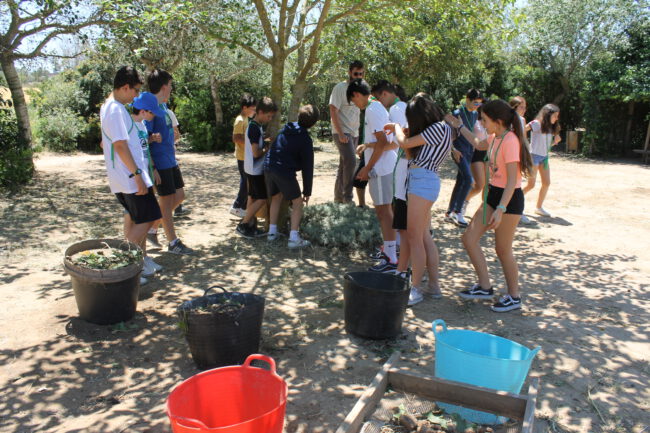 Prospección de metodología de secundaria