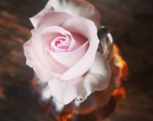 Ungüentos romanos de mundo clásico de primaria