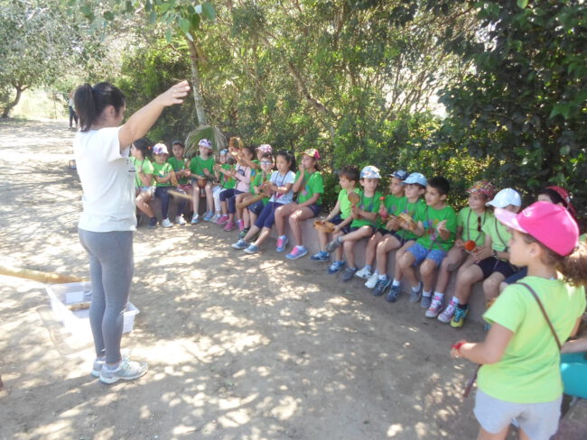 danzas orientales protohistoria primaria