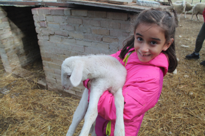 el gallinero de Rosita de medio ambiente de infantil el gallinero de Rosita de medio ambiente de infantil