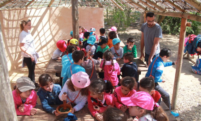 elaboracion de unguentos protohistoria primaria