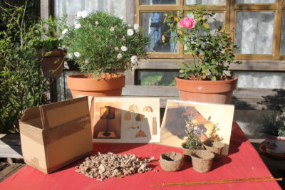 macetero reciclado inf